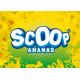 Scoop Ananas 10 ltr