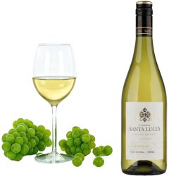 Santa Lucia Sauv. Blanc Hvid 75 cl