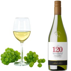 Santa Rita 120 Chardonnay Hvid 75 cl