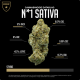 N*1 Sativa - 12% THCA "1 gram"