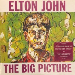 Elton John - The Big Pigture